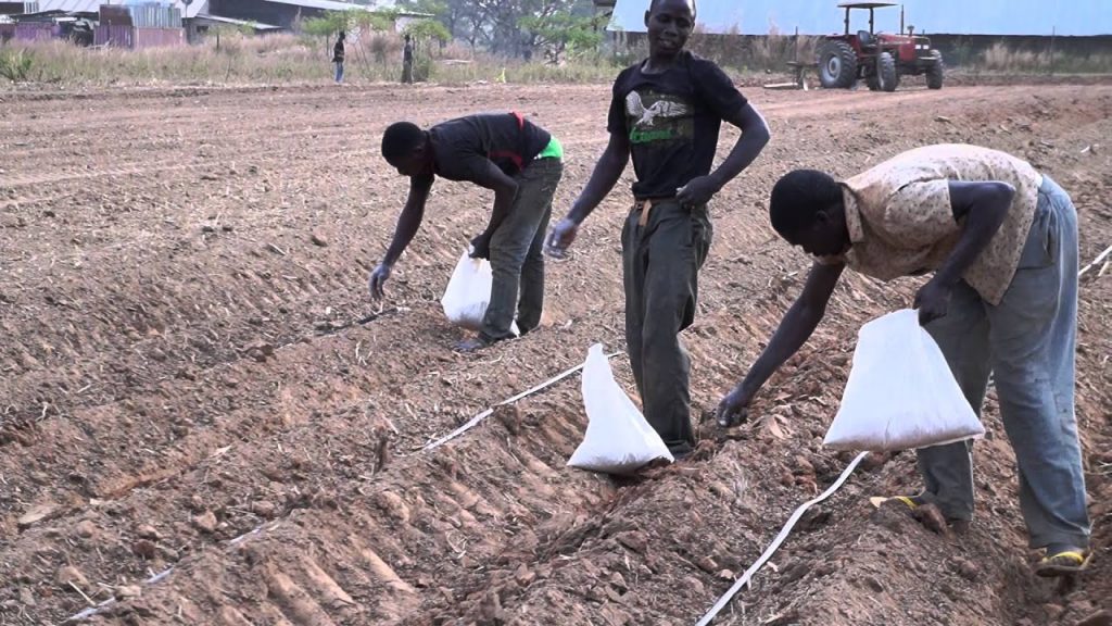 AFFM earmarks $2.2m as fertiliser subsidy for Nigerian farmers