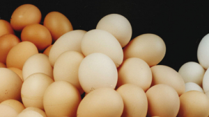 Nigeria commits to boost egg, meat production  