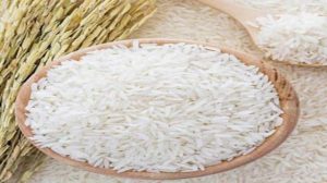 Global rice production hits two-decades low in 2023