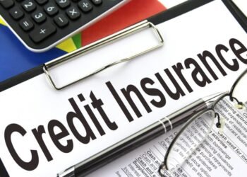 Capital reforms slow once-buoyant credit insurance market