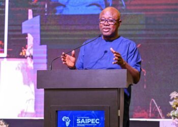 Africa should prioritise energy security over fossil fuel exit-Minister Lokpobiri