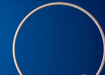 Income Inequality: A Vicious Cycle?