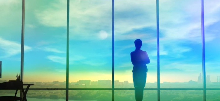 The Female CEO Problem: Solutions