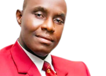 Making for sustainable food security in Africa (2)