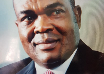 Another deferred hope agenda in Nigeria’s national assets sale