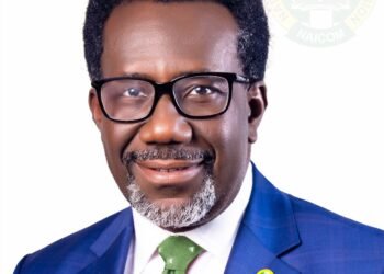 Omosehin drives NAICOM reform agenda as recapitalisation deadline looms