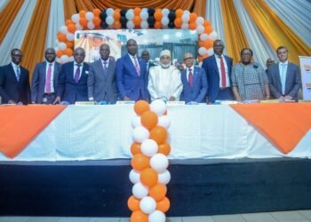 Vitafoam shareholders approve N125m bonus issue, N3.75bn dividend after earnings rebound