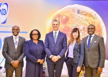 Nigerian Breweries rebuilds financial stability after N141bn debt reduction
