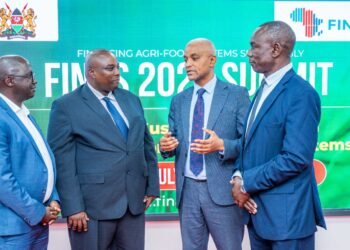 Africa seeks to close $100bn agri-food financing gap at FINAS summit