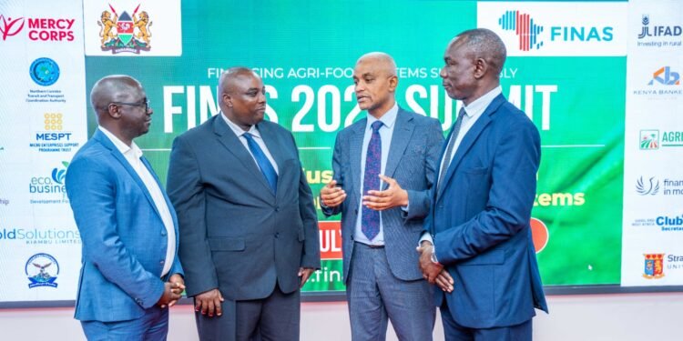 Africa seeks to close $100bn agri-food financing gap at FINAS summit