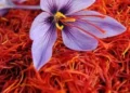 Nigeria tests saffron as $1.4bn market beckons 