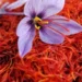 Nigeria tests saffron as $1.4bn market beckons