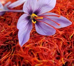 Nigeria tests saffron as $1.4bn market beckons 