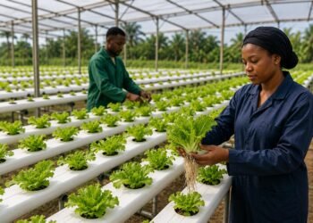 Hydroponic farming