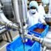 Cocoa processing