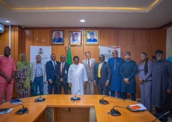 AP3 Advisory unveils investment blueprint to unlock Nigeria's small hydropower potential