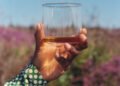 Why single malt whisky Is the drink of choice for the modern gentleman