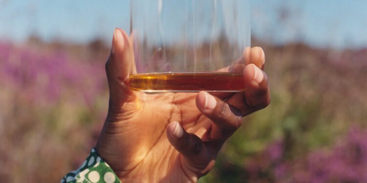 Why single malt whisky Is the drink of choice for the modern gentleman