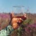 Why single malt whisky Is the drink of choice for the modern gentleman