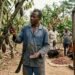 West Africa’s cocoa crisis threatens $10,000 price shock 