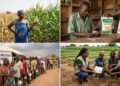Nigeria’s improved seed adoption stuck below 30% as food security risks mount 
