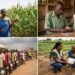 Nigeria’s improved seed adoption stuck below 30% as food security risks mount