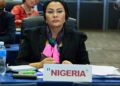 European financiers deepen Nigeria bet with €520m investment drive