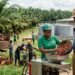 Nigeria's $600m palm oil import bill reveals a bigger investment opportunity