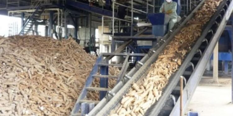 Nigeria turns to cassava, agricultural waste to build sustainable aviation fuel industry