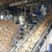 Nigeria turns to cassava, agricultural waste to build sustainable aviation fuel industry