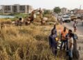 $90bn debt bill deepens Africa’s development financing crisis