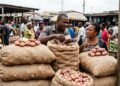 Poor harvest, Ghana trade row put onion prices on course for N300,000 per bag