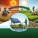 Climate risk pushes solar irrigation up Nigeria’s food security agenda