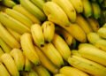 Cameroon’s July banana exports jump 34% to 20,577 tonnes
