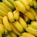 Cameroon’s July banana exports jump 34% to 20,577 tonnes