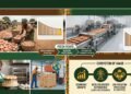 Untapped egg processing market offers fresh route to economic diversification
