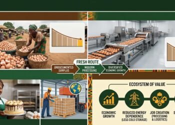 Untapped egg processing market offers fresh route to economic diversification 