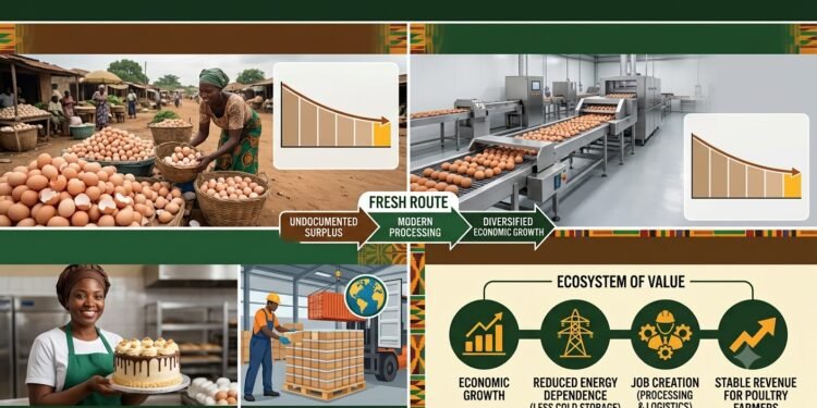 Untapped egg processing market offers fresh route to economic diversification 