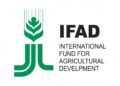 IFAD, Equity Group kick off $200m East Africa's farmers climate adaptation finance