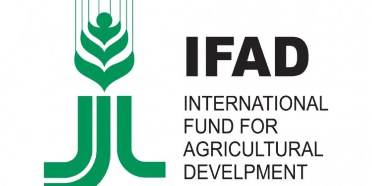 IFAD, Equity Group kick off $200m East Africa's farmers climate adaptation finance