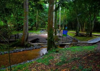 Ikogosi takes tourism campaign to US with AFRIMMA sponsorship
