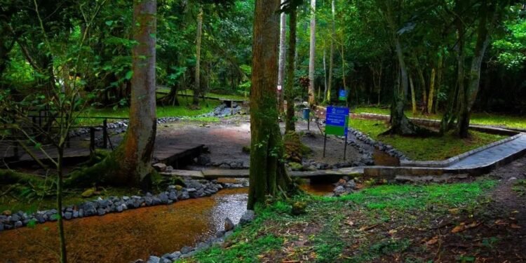 Ikogosi takes tourism campaign to US with AFRIMMA sponsorship