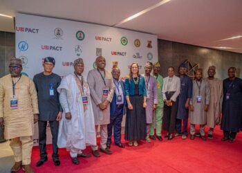 UK, Nigeria target private capital for three hydropower projects